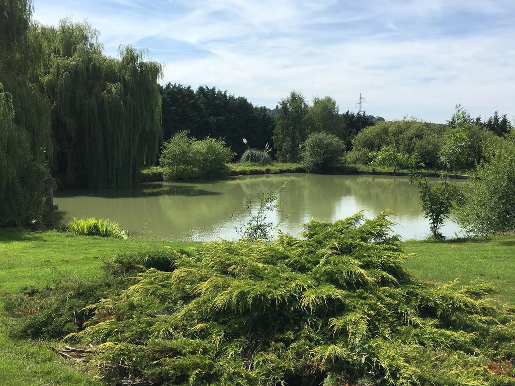 吉兹 - 多麦德葛福思度假屋 Pont-Évêque 外观 照片